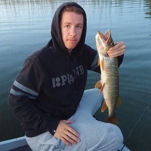 Meet your Posher, Spence